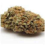 Шишки AK47  (Гидропоника, Бошка) VHQ в Карабулаке